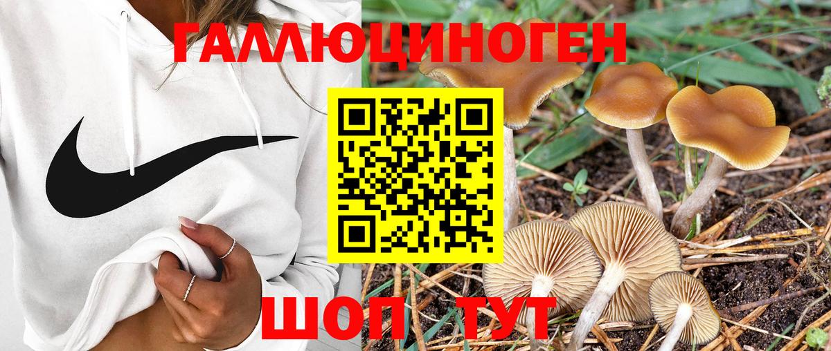 Калуга  Галлюциногенные грибы мухоморы  Вход с VPN 