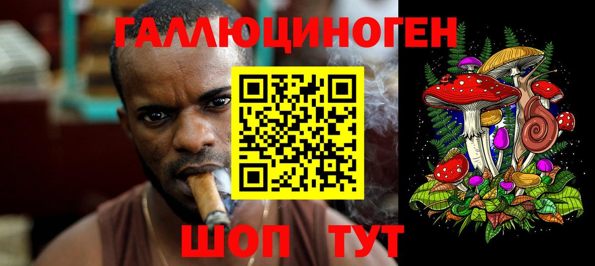 ГАШ Калуга